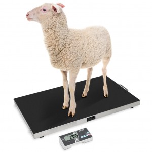 Bilancia per uso veterinario KERN EOS-A